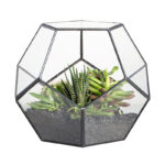 Pellentesque position