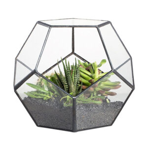 Pellentesque position