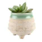 Pellentesque posuere