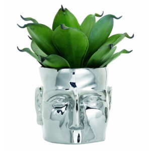 Phasellus vel hendrerit