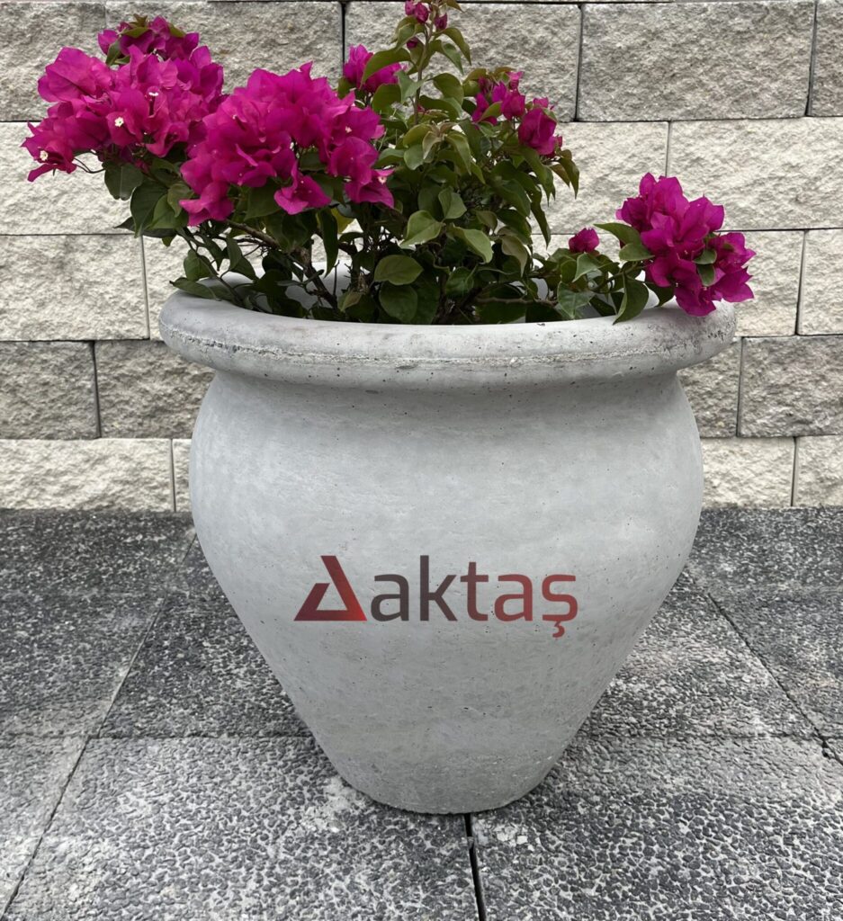 50x50x50 cm boyutlarında, doğal gri renkli beton malzemeden yapılmış, klasik vazo formunda modern bir dış mekan saksısı. Saksının ön yüzünde kırmızı renkte "Aktaş" logosu bulunmaktadır. Saksının içinde pembe renkli çiçekleri olan, gür yapraklı bir bitki (bodur begonya veya sardunya benzeri) bulunmaktadır. Saksı, koyu gri renkli taş döşeli zemin üzerinde durmakta olup, arka planda gri taşlardan örülmüş bir duvar görünmektedir. Ürün, dış mekan peyzaj ve bitkilendirme için idealdir.