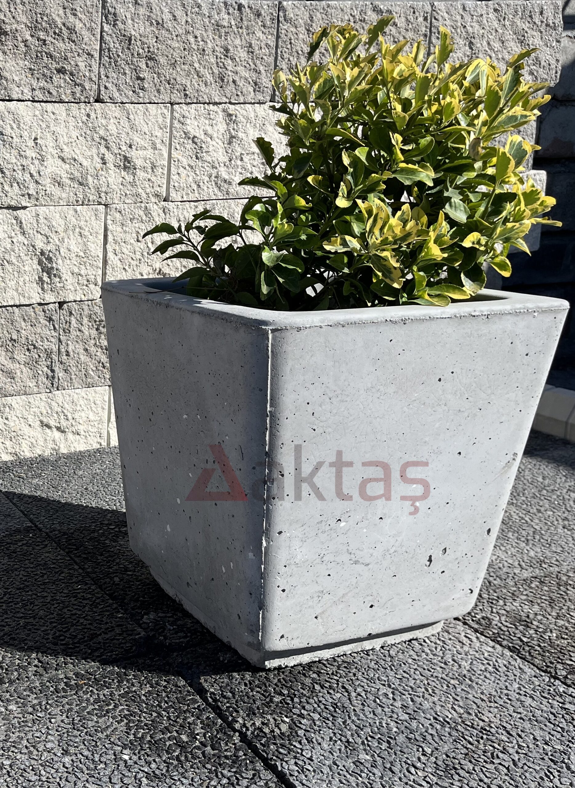 40x40x44 cm boyutlarında, doğal gri renkli mix beton malzemeden yapılmış, kare formunda modern bir dış mekan saksısı. Saksının ön yüzünde kırmızı "Aktaş" logosu bulunmaktadır. Saksının içinde sarı-yeşil yapraklı, gür bir bitki durmaktadır. Saksı, koyu gri renkli taş döşeli zemin üzerinde durmakta olup, arka planda açık renkli tuğla duvardan oluşan bir arka plan görünmektedir. Ürün, dış mekan peyzaj ve güvenlik uygulamaları için uygundur.