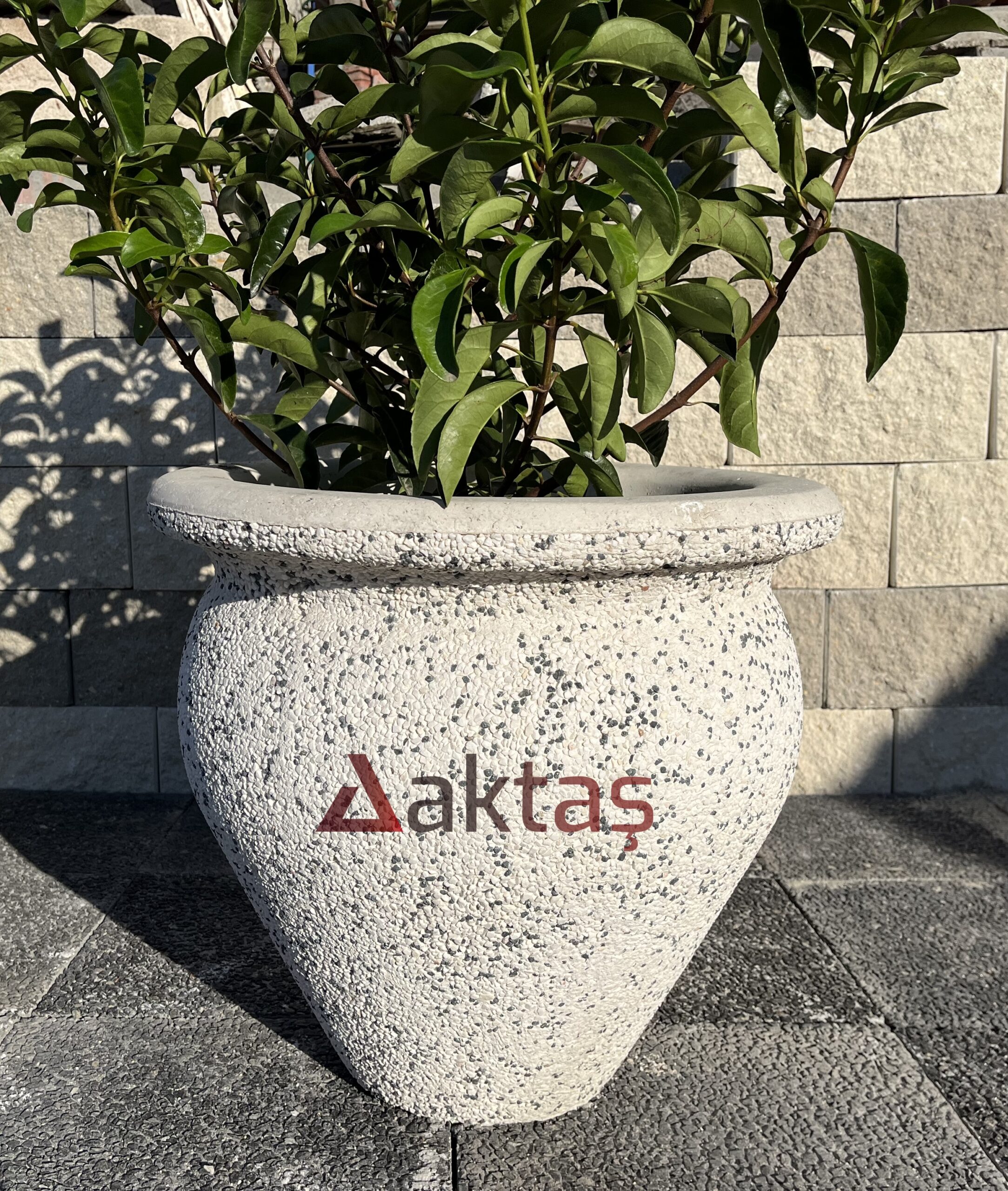 50x50x50 cm boyutlarında, dış yüzeyi beyaz ve gri mozaik parçacıklarıyla kaplı, vazo formunda modern bir dış mekan saksısı. Saksının ön yüzünde kırmızı "Aktaş" logosu bulunmaktadır. Saksının içinde geniş yapraklı, yeşil bir bitki durmaktadır. Saksı, koyu gri renkli taş döşeli zemin üzerinde durmakta olup, arka planda açık gri taşlardan örülmüş bir duvar görünmektedir. Ürün, dış mekan bitkilendirme ve peyzaj için uygundur.