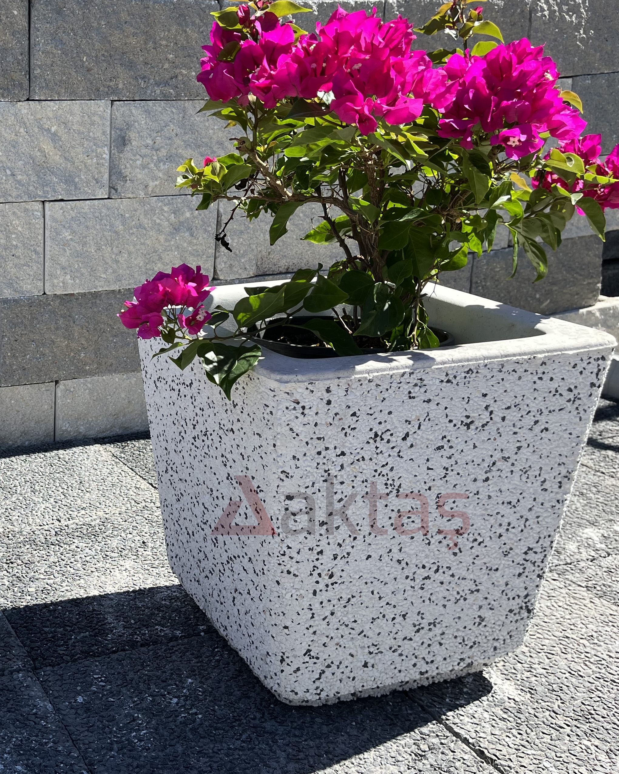 40x40x44 cm boyutlarında, dış yüzeyi beyaz ve gri mozaik parçacıklarıyla kaplı, kare formunda modern bir dış mekan saksısı. Saksının ön yüzünde kırmızı "Aktaş" logosu bulunmaktadır. Saksının içinde pembe çiçekli, gür yeşil yapraklı bir bitki durmaktadır. Saksı, koyu gri renkli taş döşeli zemin üzerinde durmakta olup, arka planda açık renkli tuğla duvardan oluşan bir arka plan görünmektedir. Ürün, dış mekan peyzaj ve güvenlik uygulamaları için uygundur.