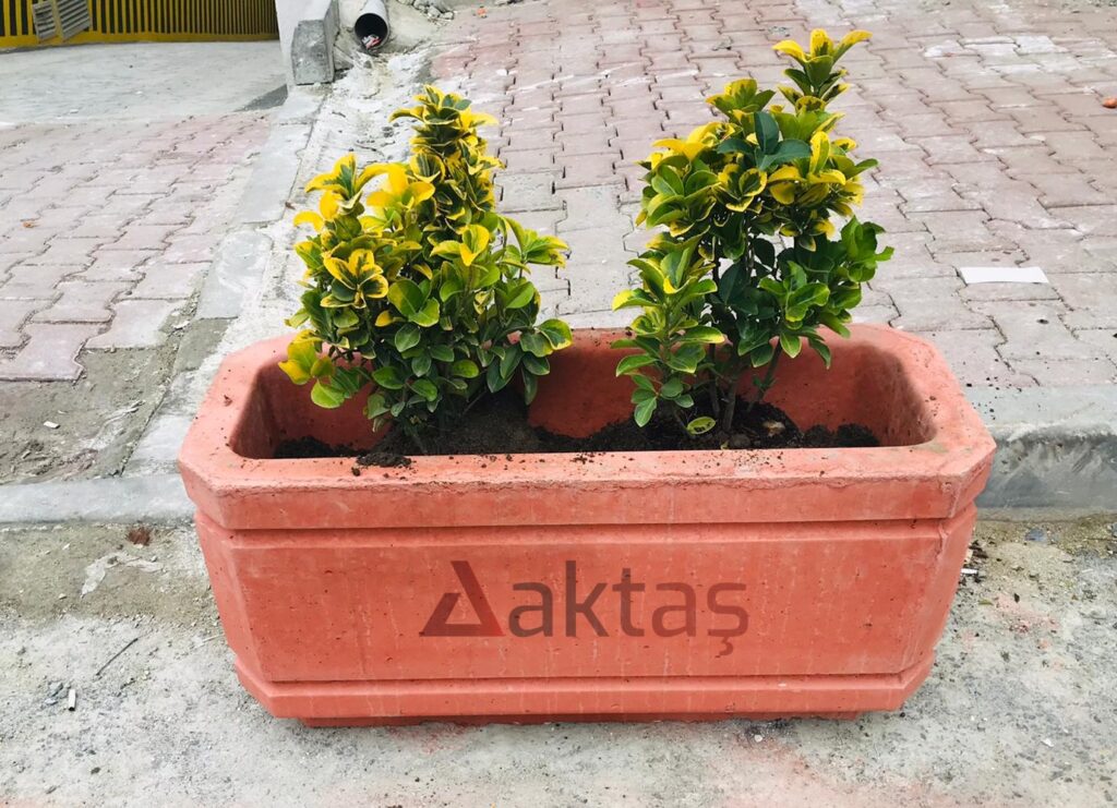 80x30x40 cm boyutlarında, canlı kırmızı renkte beton malzemeden yapılmış, dikdörtgen formunda modern bir dış mekan saksısı. Saksının içinde iki adet sarı ve yeşil yapraklı bitki toprakla birlikte durmaktadır. Saksının ön yüzünde büyük, kırmızı "Aktaş" logosu bulunmaktadır. Saksı, kaldırım taşları üzerinde, arka planda sarı renkli bir korkuluk ve gri bir yol detaylarıyla birlikte konumlanmıştır. Ürün, dış mekan peyzaj ve güvenlik uygulamaları için uygundur.