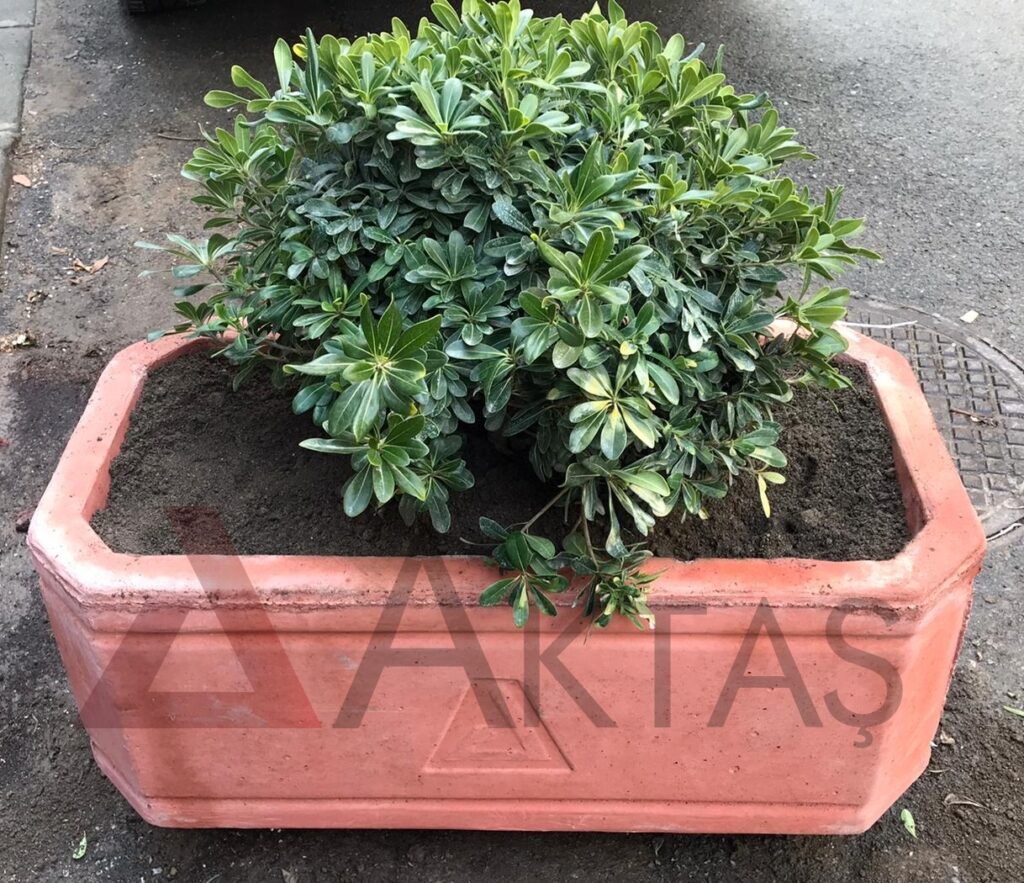 80x40x40 cm boyutlarında, canlı kırmızı renkte beton malzemeden yapılmış, dikdörtgen formunda modern bir dış mekan saksısı. Saksının içinde bol yeşil yapraklı bir bitki toprakla birlikte durmaktadır. Saksının ön yüzünde büyük, kabartmalı "Aktaş" logosu bulunmaktadır. Saksı, gri asfalt bir yol üzerinde konumlanmış olup, arka planda bir kaldırım ve bir menhol kapağı görülmektedir. Ürün, dış mekan peyzaj ve güvenlik uygulamaları için uygundur.