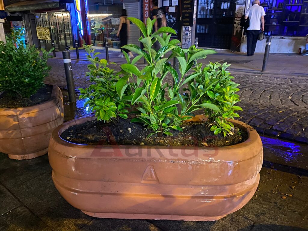 100x50x40 cm boyutlarında, canlı kiremit rengi veya kırmızıya yakın bir tonda beton malzemeden yapılmış, oval formunda modern bir dış mekan saksısı. Saksının içinde yeşil yapraklı üç adet bitki toprakla birlikte durmaktadır. Saksının ortasında belirgin bir Aktaş logosu bulunmaktadır. Saksı, karanlık bir şehir ortamında, kaldırımda yer almaktadır ve arka planda mağaza ışıkları ve insanlar belirsiz bir şekilde görünmektedir. Saksı, dış mekan peyzaj ve güvenlik uygulamaları için uygundur.