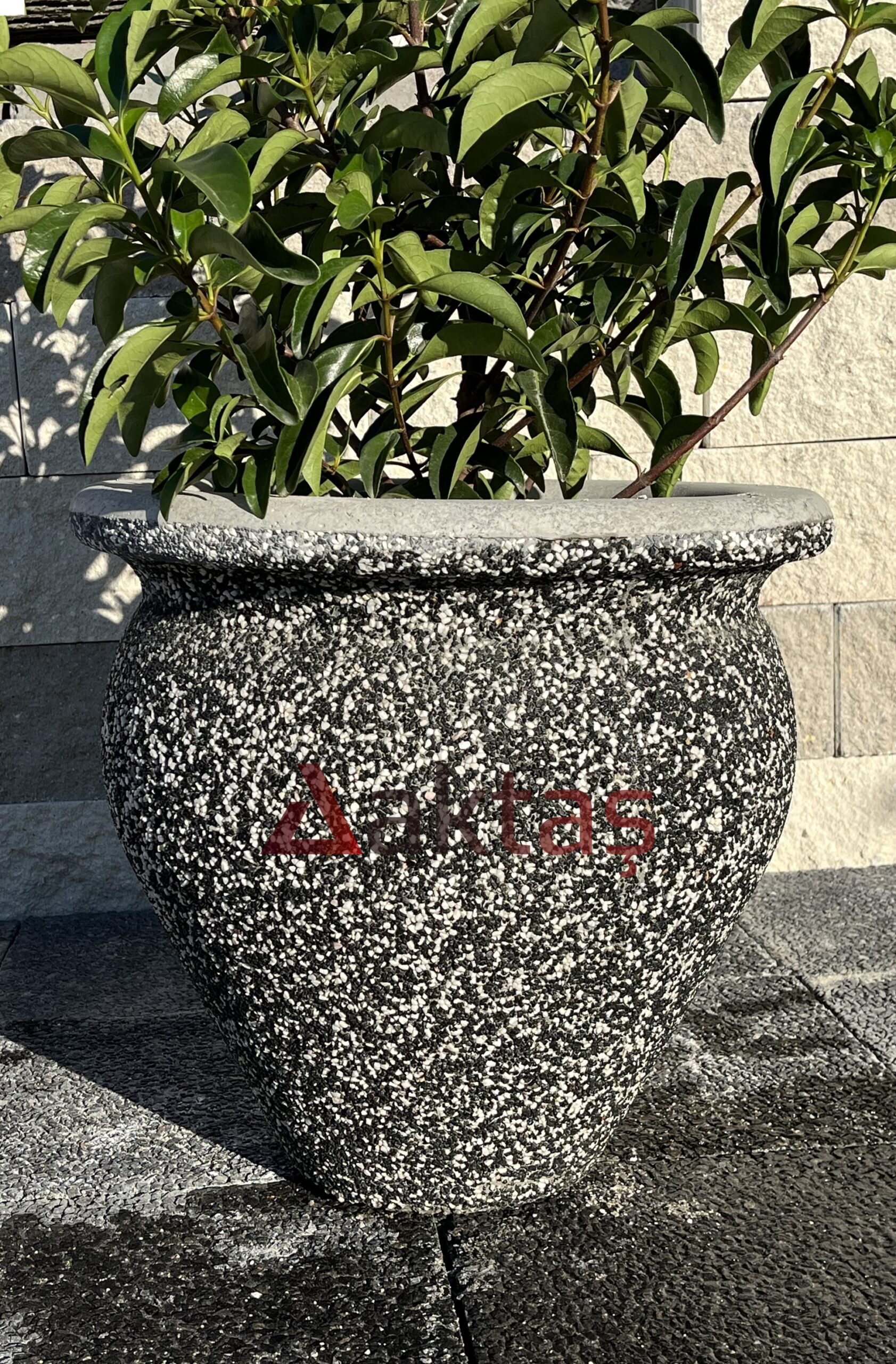 50x50x50 cm boyutlarında, dış yüzeyi siyah ve beyaz mozaik parçacıklarıyla kaplı, vazo formunda modern bir dış mekan saksısı. Saksının ön yüzünde kırmızı "Aktaş" logosu bulunmaktadır. Saksının içinde gür yeşil yapraklı bir bitki durmaktadır. Saksı, koyu renkli taş döşeli zemin üzerinde durmakta olup, arka planda açık renkli tuğla duvardan oluşan bir arka plan görünmektedir. Ürün, dış mekan bitkilendirme ve peyzaj için uygundur.
