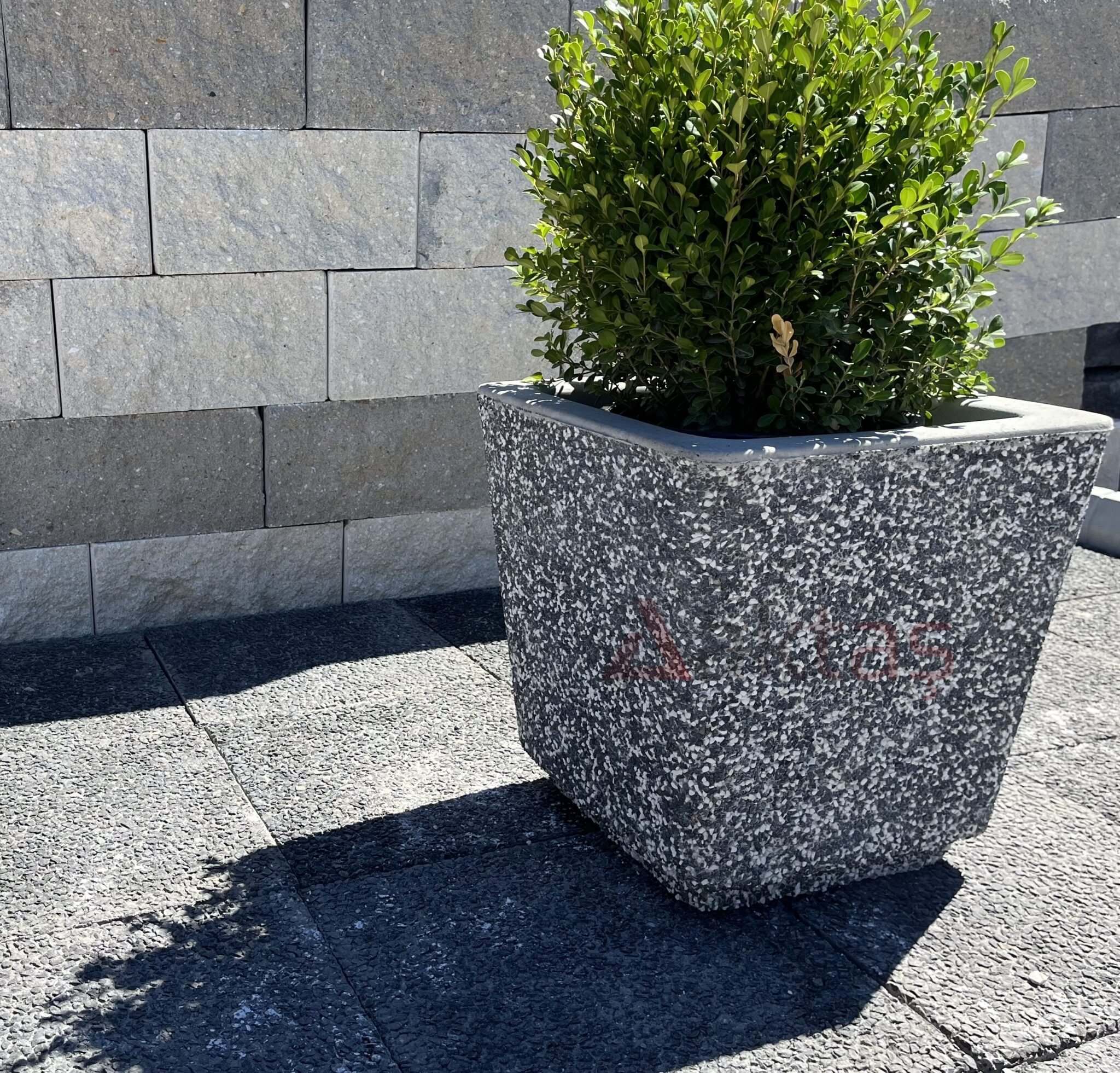 40x40x44 cm boyutlarında, dış yüzeyi siyah ve beyaz mozaik parçacıklarıyla kaplı, kare formunda modern bir dış mekan saksısı. Saksının ön yüzünde kırmızı "Aktaş" logosu bulunmaktadır. Saksının içinde gür yeşil yapraklı, budanmış bir şimşir bitkisi (topiary) durmaktadır. Saksı, koyu gri renkli taş döşeli zemin üzerinde durmakta olup, arka planda açık gri taşlardan örülmüş bir duvar görünmektedir. Ürün, dış mekan peyzaj ve güvenlik uygulamaları için uygundur.