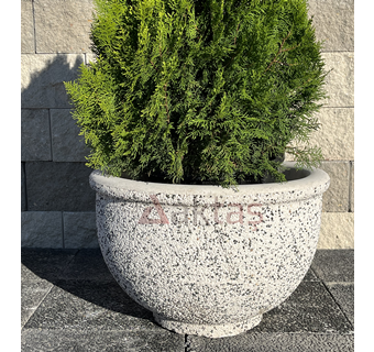 60x60x40 cm boyutlarında, dış yüzeyi beyaz ve açık gri mozaik parçacıklarıyla kaplı, yuvarlak formunda modern bir dış mekan saksısı. Saksının ortasında belirgin kırmızı "Aktaş" logosu bulunmaktadır. Saksının içinde yeşil yapraklı, koni şeklinde budanmış bir bitki durmaktadır. Saksı, koyu gri renkli kaldırım taşları üzerinde, arka planda açık renkli blok taşlardan örülmüş bir duvarın önünde yer almaktadır. Ürün, dış mekan peyzaj ve dekorasyon için uygundur.