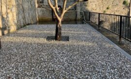 Wash beton karolarla kaplanmış, ortasında ağaç bulunan modern peyzaj zemin uygulaması. Gri ve beyaz doğal çakıl görünümlü karolar.