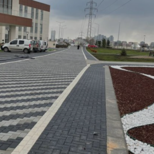 8 cm Ağır Yük Kilitli Parke Taşı (Beton) - Dekor Taşı