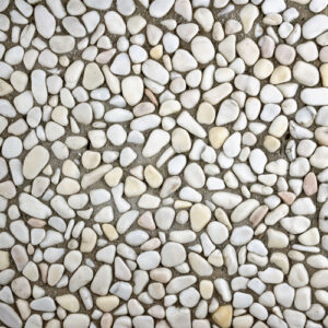 Çok renkli doğal çakıl agregalı wash beton karolarla kaplanmış, ortasında ağaç bulunan modern bahçe zemin uygulaması ve bina girişi.