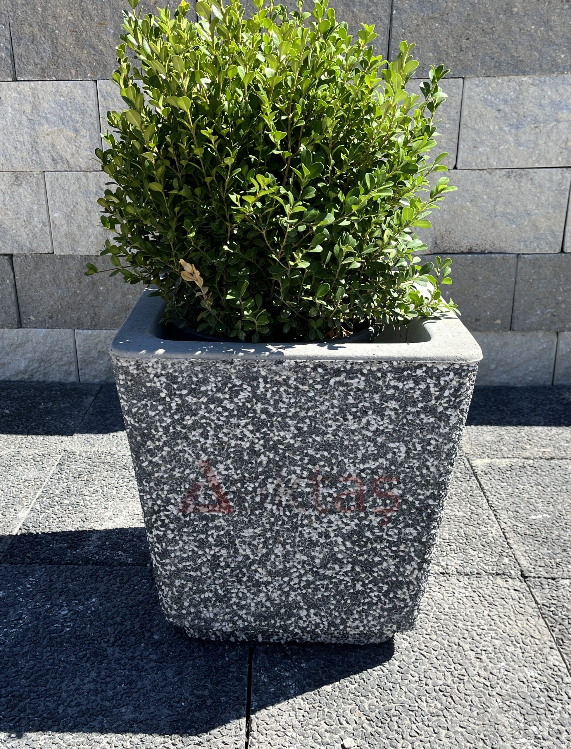 Siyah-Mozaikli-Saksi-1-40x40x44-cm-scaled