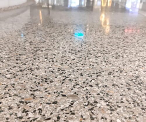 Büyük bir alanda uygulanan gri tonlu, parlak ve taş cipsli Terrazzo zemin kaplaması