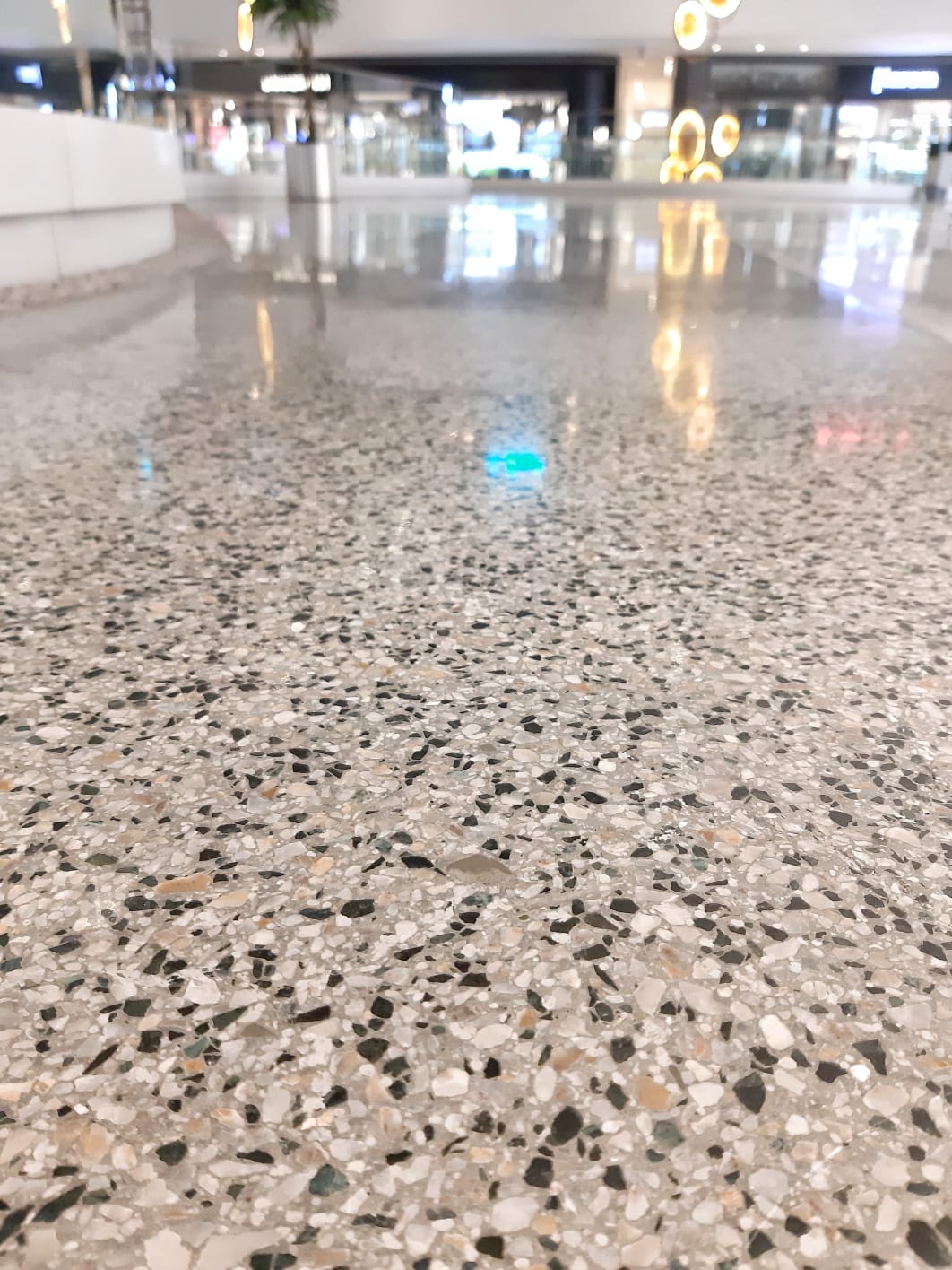 Büyük bir alanda uygulanan gri tonlu, parlak ve taş cipsli Terrazzo zemin kaplaması