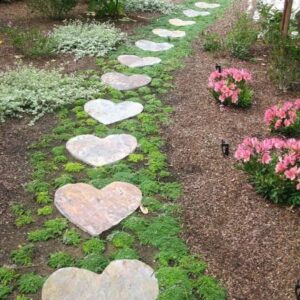 Kalp Adım Taşı