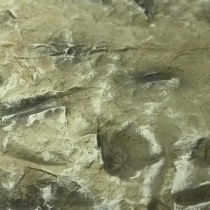 Minoa Modeli Fiber Duvar Paneli