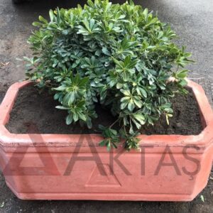 Aktaş Dikdörtgen Beton Saksı (80x40x40 cm) – Canlı Kırmızı Renk