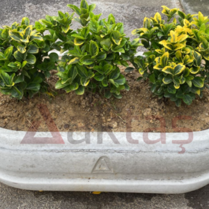 Aktaş Oval Beton Saksı (100x50x40 cm) – Doğal Gri Renk