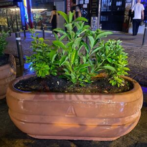 Aktaş Oval Beton Saksı (100x50x40 cm) – Canlı Kırmızı Renk