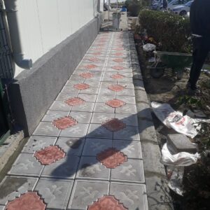 Orkide Yer Taşı - Dekor Taşı