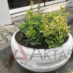 Aktaş Yuvarlak Beton Saksı (80x80x40 cm) – Doğal Gri Renk