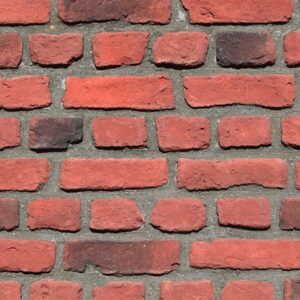 Bonacynodon Harman Kültür Tuğlası