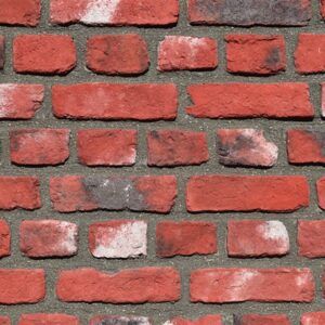 Carmen Harman Kültür Tuğlası