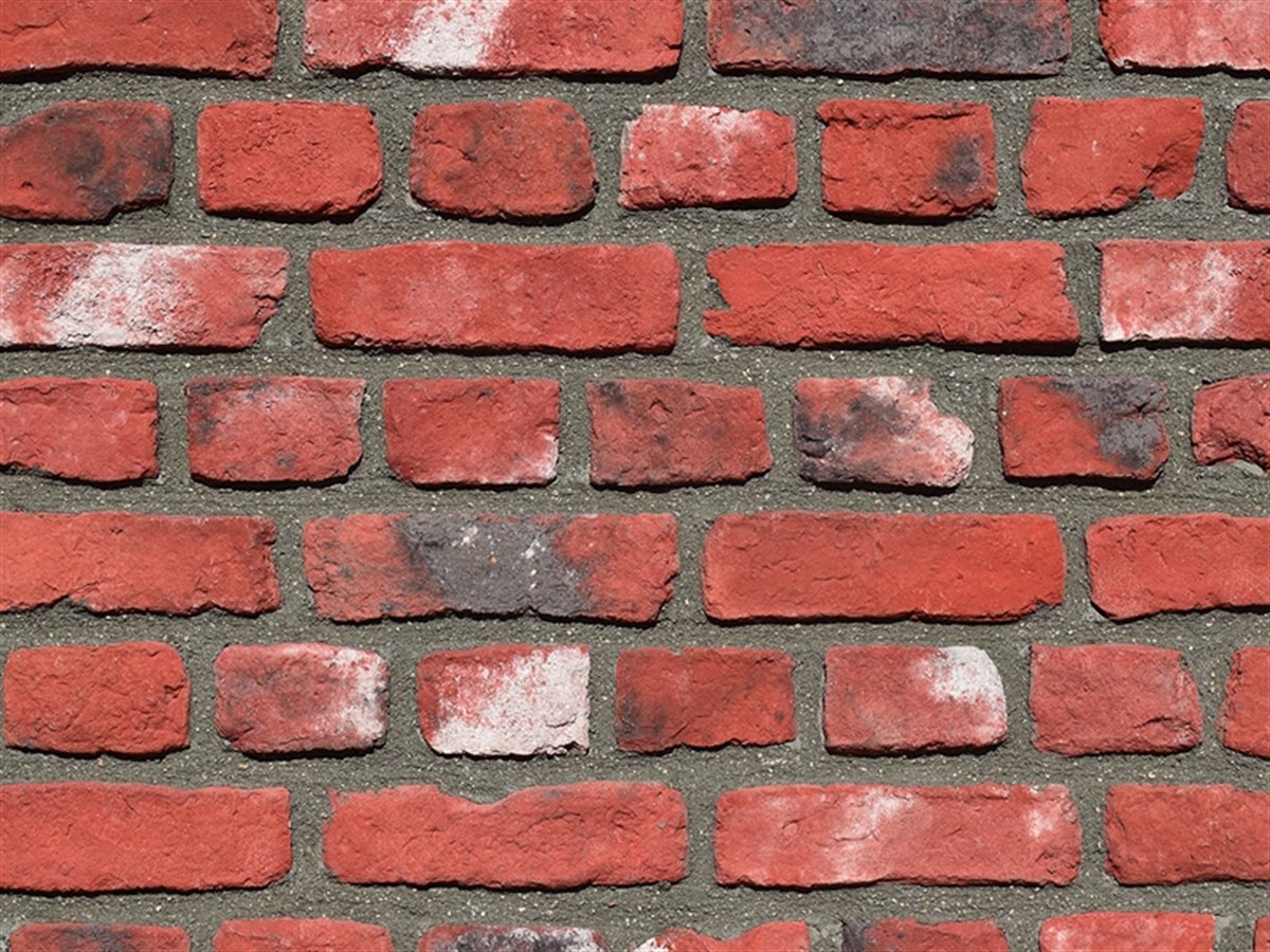 Carmen Harman Kültür Tuğlası