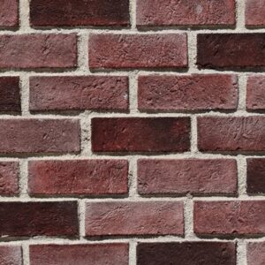 Édgar Yontu Kültür Tuğlası