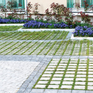 Gri Çim Parke Taşı 20x20x8 cm (m² Fiyatı)