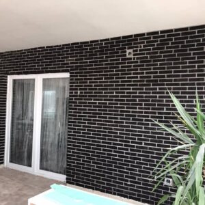 Jaú Kültür Tuğlası