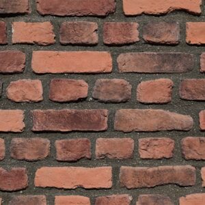 Mycoplasma Harman Kültür Tuğlası