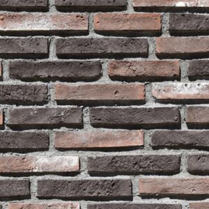 Parke Kültür Tuğlası 2021