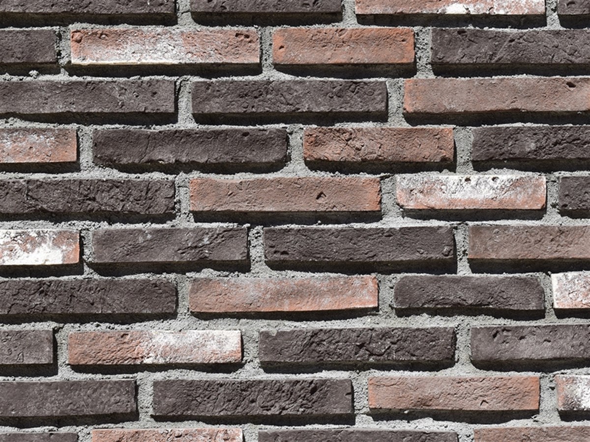 Parke Kültür Tuğlası 2021