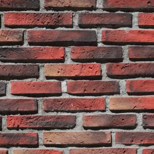 Parke Kültür Tuğlası Boeing