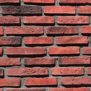 Parke Kültür Tuğlası Halit