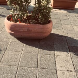 Quaraí Beton Saksı