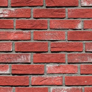 Scuderia Dekor Kültür Tuğlası