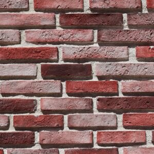 Snyder Parke Kültür Tuğlası