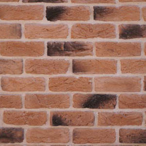 Eski Tuğla SOIL BP 3010