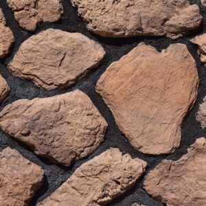 Tarla Taşı Mücteba