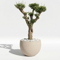 Profesyonel Beton Ağaç Saksısı 95 cm