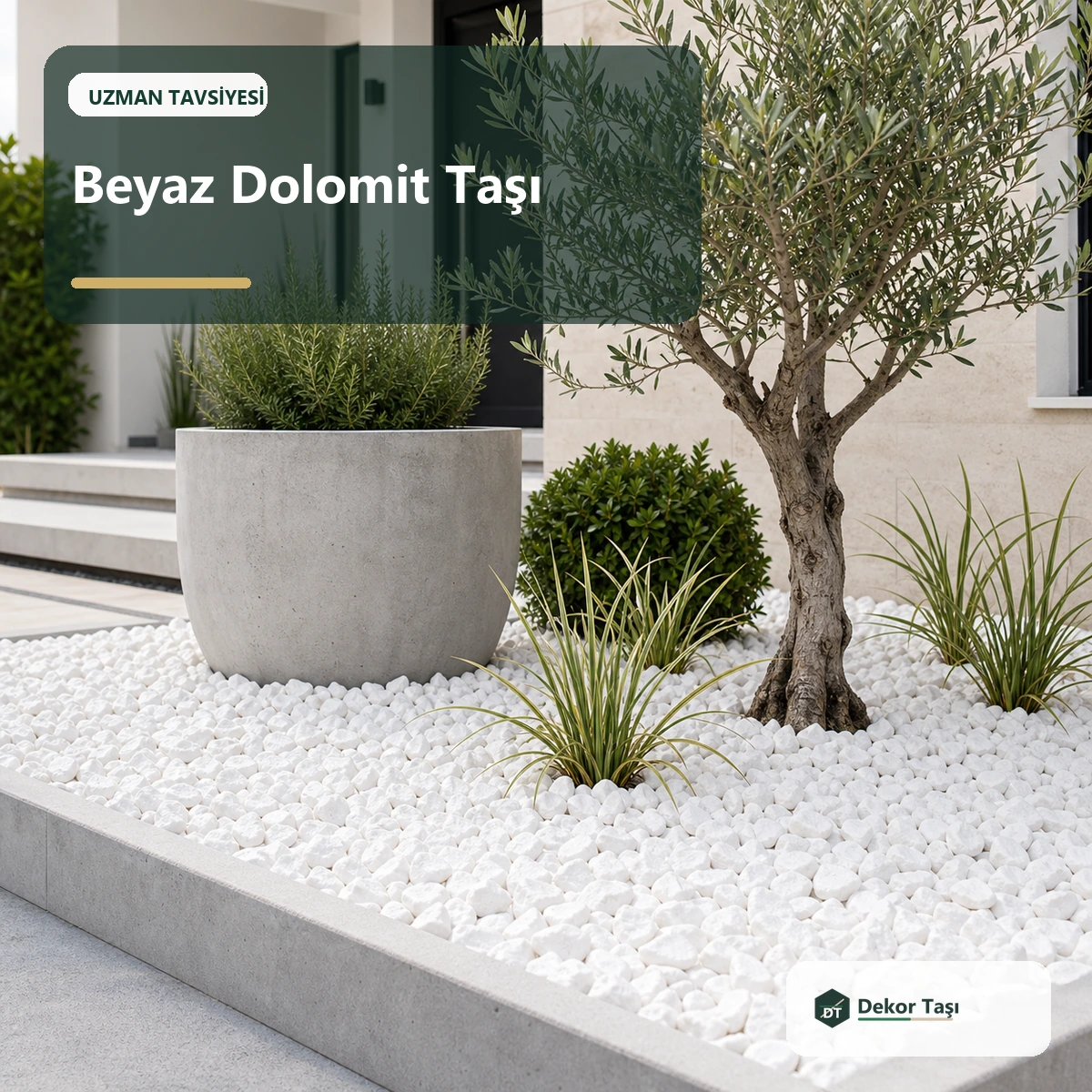 BahÃ§ede Beyaz Dolomit TaÅŸÄ± KullanmanÄ±n 10 AvantajÄ±