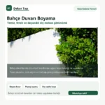 Beyaz bahçe duvarı boyama - Dekor Taşı