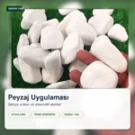 Beyaz Çakıl Taşı 4-6 cm | Dolomit Peyzaj Taşı Ton Satış - Görsel 3
