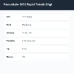 Pamukkale 1515 Rapid Endüstriyel Boya 5-15 Gloss 15 Kg Mat Beyaz