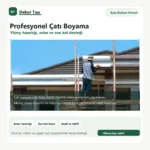 Profesyonel çatı boyama hizmeti - Dekor Taşı