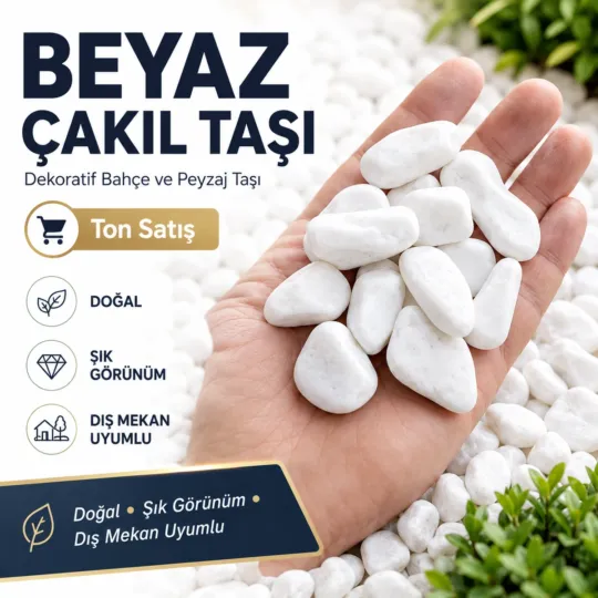 Dolomit Taşları ürün grubundan örnek görünüm